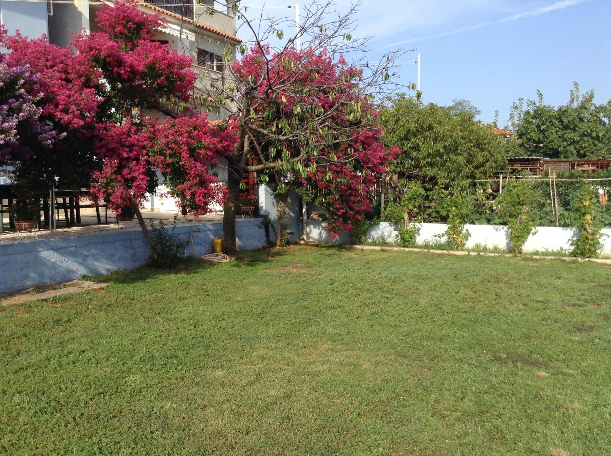 The Blue House Apartment Vinkuran Exterior foto